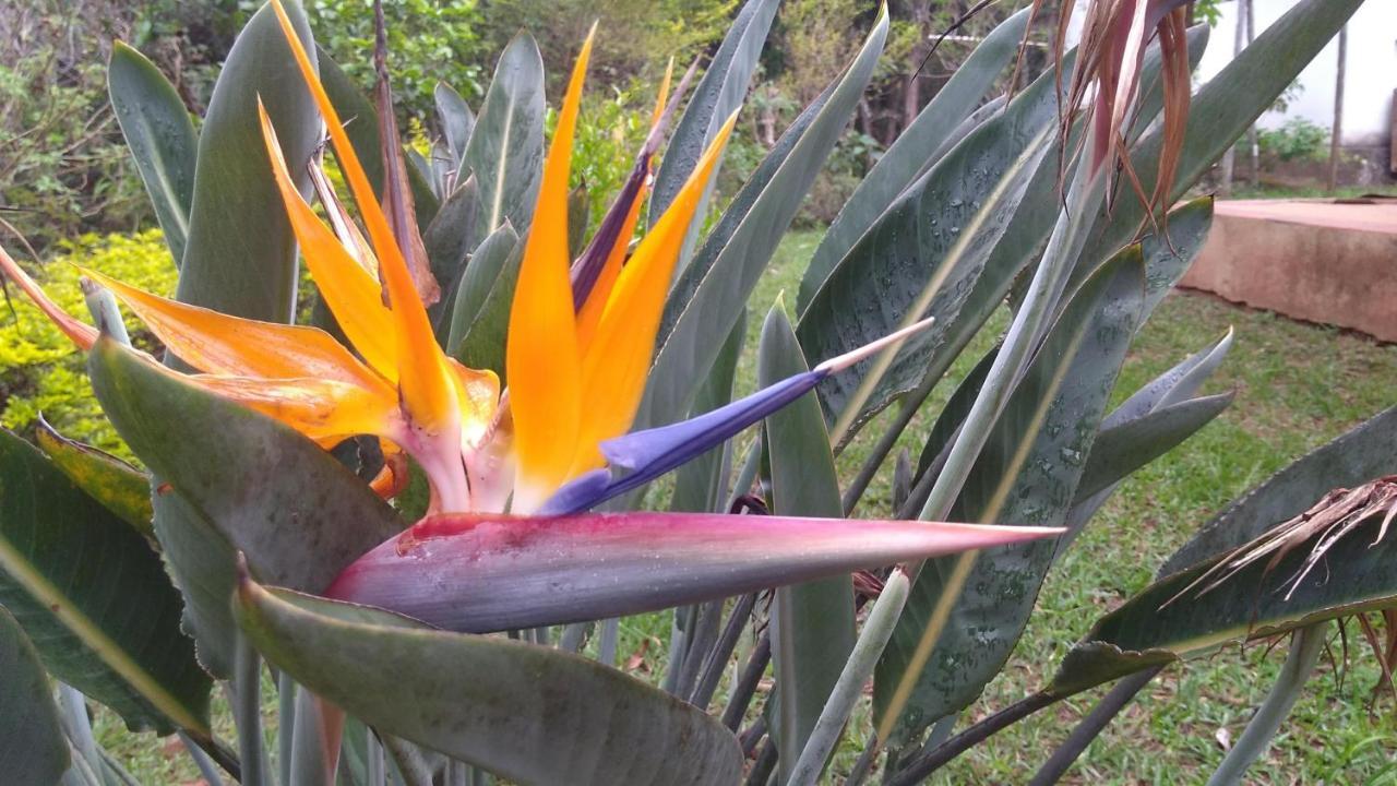 Govinda Moeda Pousada المظهر الخارجي الصورة